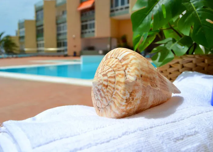 Moana Apartment